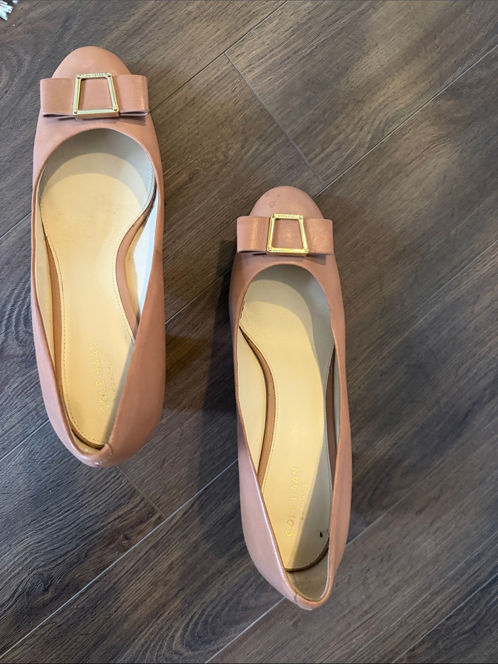 Cole Haan Blush Pink Leather Flats with Gold Buckle